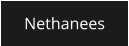 Nethanees