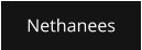 Nethanees