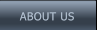 ABOUT US ABOUT US