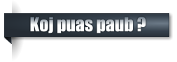 Koj puas paub ?