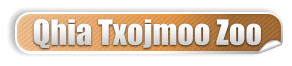 Qhia Txojmoo Zoo